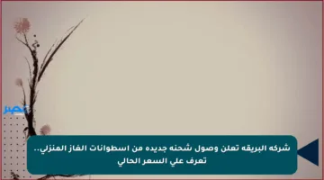 شركة البريقة تعلن وصول شحنة جديدة من أسطوانات الغاز المنزلي.. تعرف على السعر الحالي